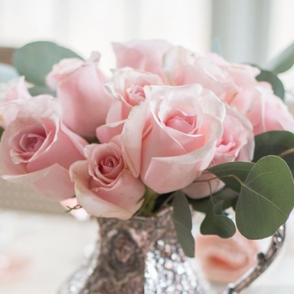 Meet your Posher, Fashionista